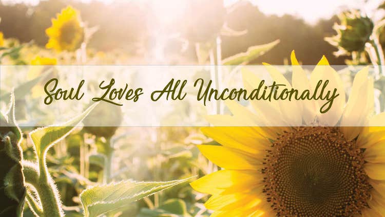 Sunflowers for Unconditional-love-Rajinder-meditation