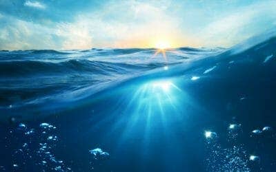Swim in the Ocean of God’s Love