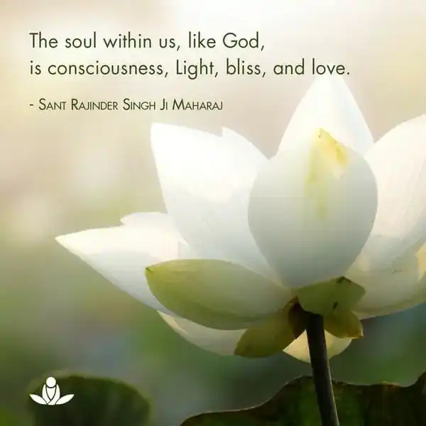 The soul within us, like God, is consciousness, Light, bliss, and love.