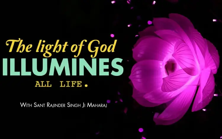 The Light Illumines All Life