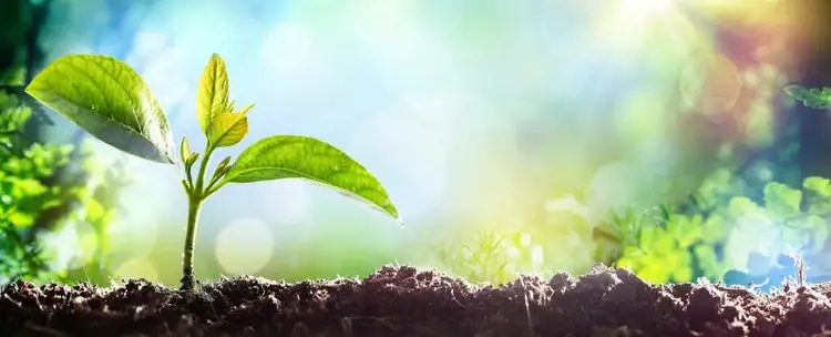 Sant Rajinder Singh science spirituality