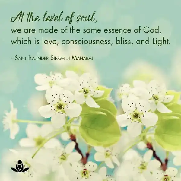 At the level of soul, we are made of the same essence of God, which is love, consciousness