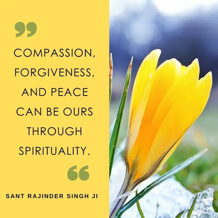 Sant Rajinder Singh meditation
