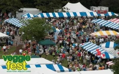Veggie Fest Chicago crowd