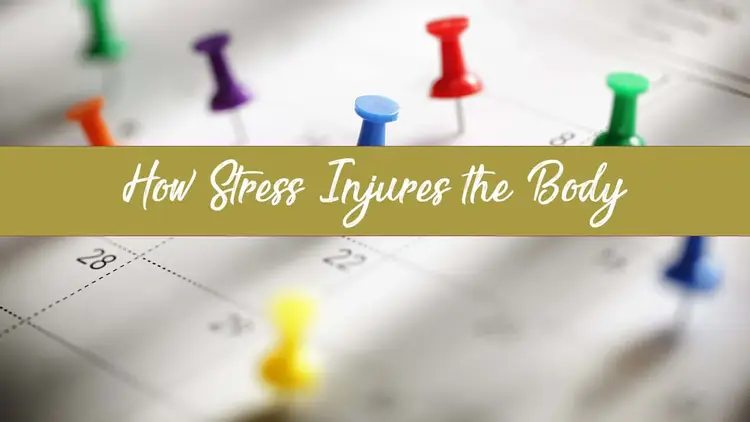 Stress-Injures-Rajinder-Singh-Meditation