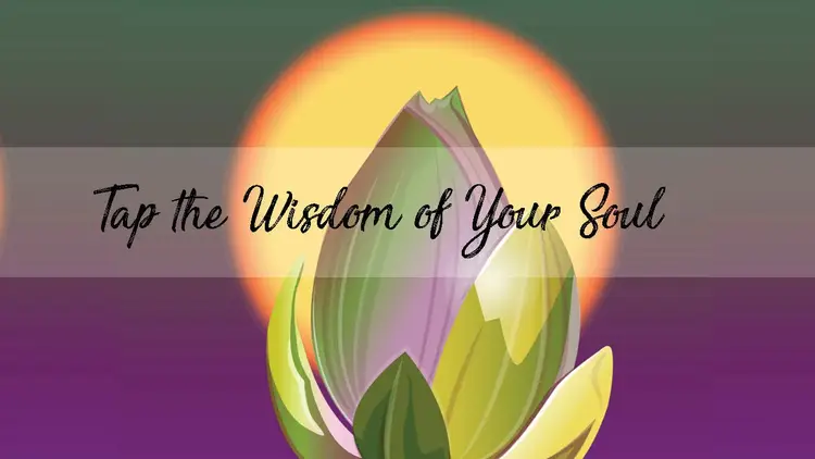 Rajinder-Singh-Tap-Wisdom-Benefit toMeditation