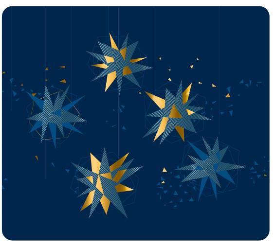 holiday lights Rajinder Singh