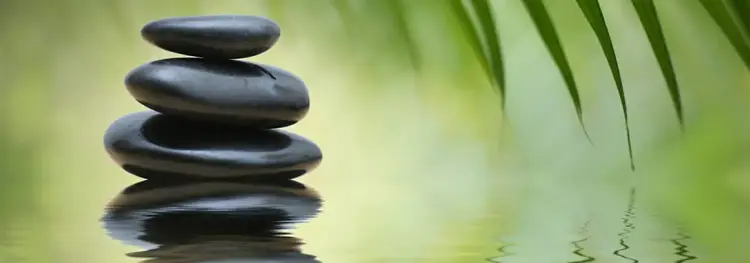 Méditation de Sant Rajinder Singh