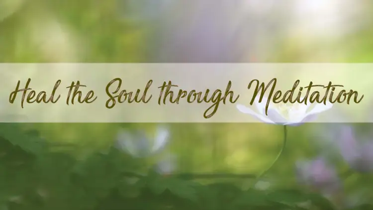Garden for Heal Soul Meditation Rajinder Singh