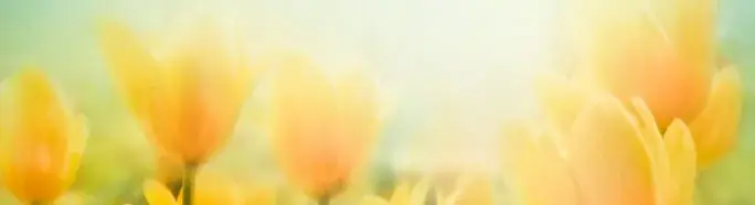 mothers-day-Sant-Rajinder-Singh
