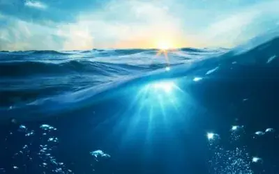 神の愛の海で泳ぐ