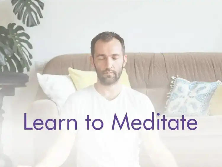 Learn to Meditate webinar banner