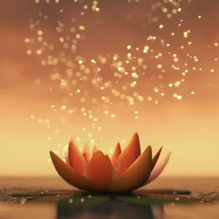 Glowing lotus flower on still water