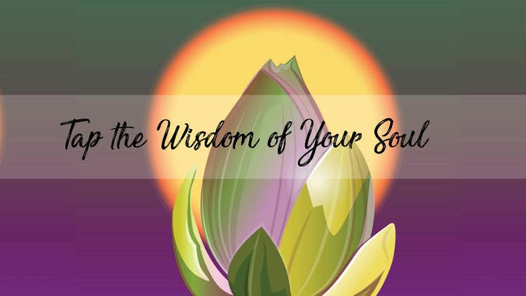 Rajinder-Singh-Tap-Wisdom-Benefit toMeditation