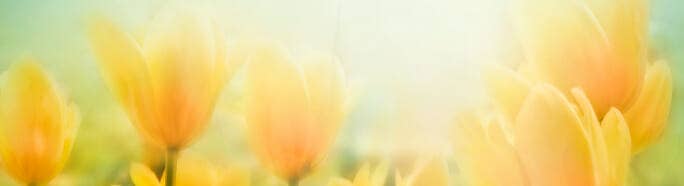 mothers-day-Sant-Rajinder-Singh