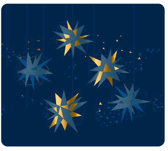 holiday lights Rajinder Singh