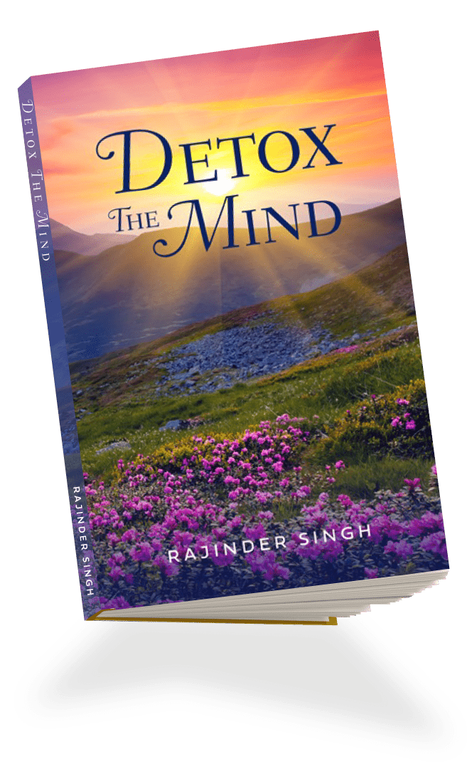 Detox the Mind book cover